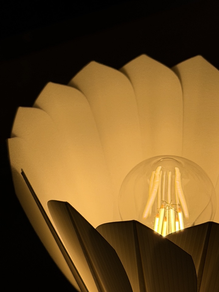 Close view of the included warm LED bulb